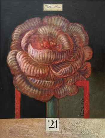 Cardinal Rose