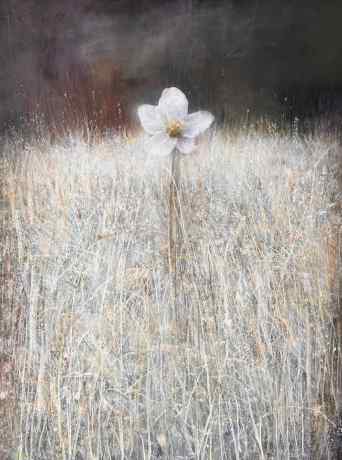 White Flower №5