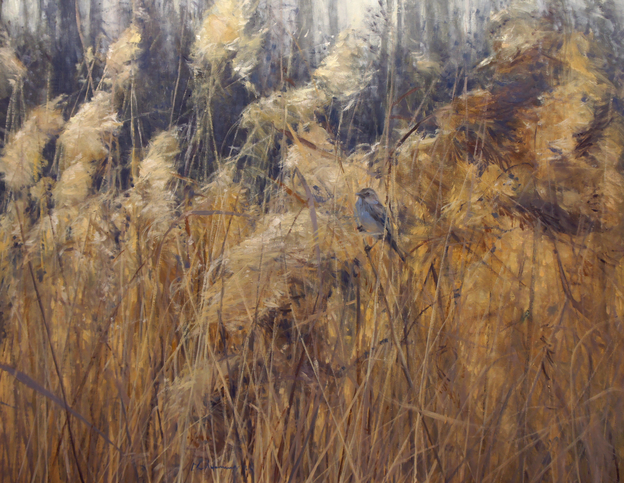 Light wind - 1, Alexey Savchenko, Buy the painting Oil