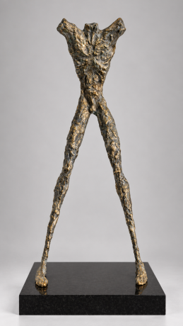 Torso