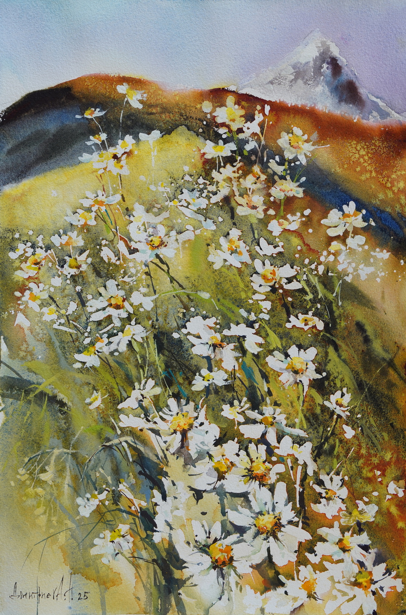 Mountain Daisies  - 1, Natalia Dmitrieva, Buy the painting Watercolor