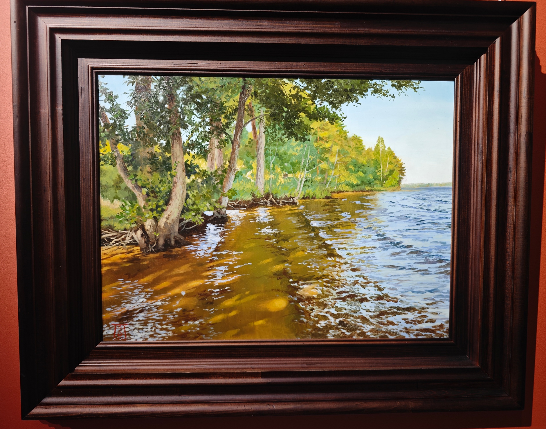 The shoal. Lake Gorovaldayskoye - 2